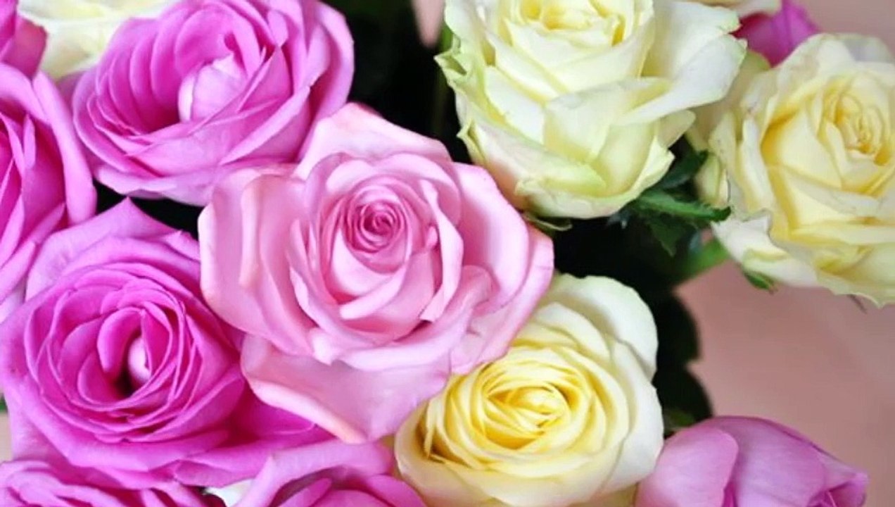 Aylin Vatankoş -Söyleyemem Derdimi