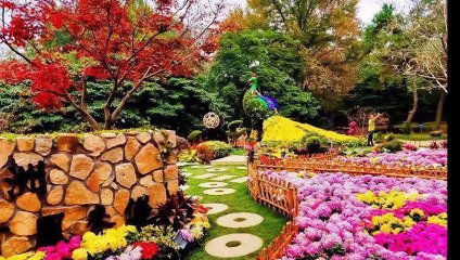 Emel Sayın - Çile Bülbülüm Çile