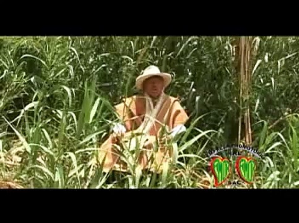 SIMON ROJAS VIDAL - LLAMELLIN (CHUSCADA)