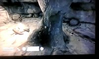 Elder Scrolls 4 Oblivion level up glitch