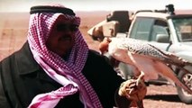فديو مقناص الامير منصور بن سعود بن عبدالعزيز - ١٤٣٣هـ