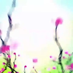 Arshia Baby Sadar Gogera