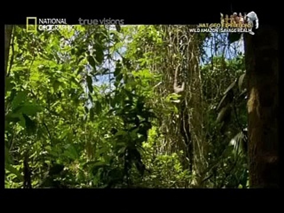 Wild Amazon ep  Savage realm 4 4