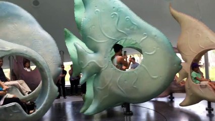 Mobile Capture Aug 19, 2015