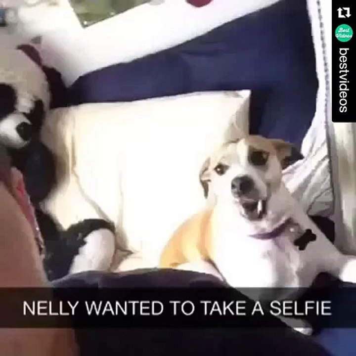 exported_vid.mp4