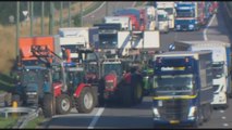 Les agriculteurs se font entendre à deux semaines d'un sommet européen