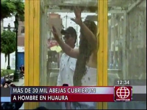 Huaura: apicultor cubrió su cuerpo de 30 mil abejas durante festival