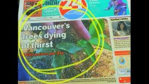 Vancouver Trees Dying of Drought, Watering Bag Didn't Save City Tree, How To Save Trees from Drought or Dryness