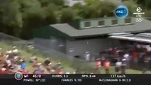 Cricket Fan Makes $100 000 Catch in the Crowd