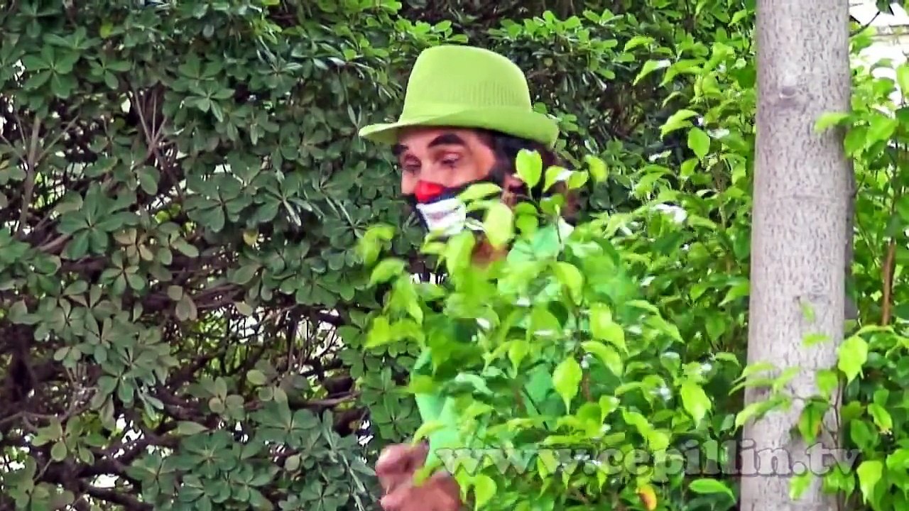 cepillin la gallina cocoua videclip HD