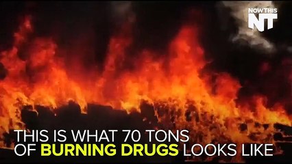 Mexican Government Sets 70 Tons Of Drugs On Fire