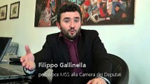 Filippo Gallinella (M5S) 