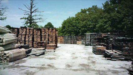 Ciguë: Materialised Instincts by Matt Black