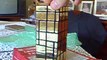 NEW RARE CUSTOM PUZZLE: GOLDEN MIRROR TOWER 7 LAYERS!!!!!! Mirror Blocks 3x3x7 custom made cube.