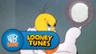 Looney Tunes: Tweety's SOS
