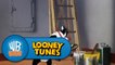 Looney Tunes: Help