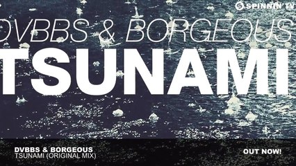 Download Video: DVBBS & Borgeous - TSUNAMI (Original Mix)