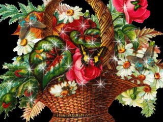 Nice Mutlu Yıllara Derya