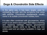 Chondroitin Side Effects When Treating Dogs Arthritis