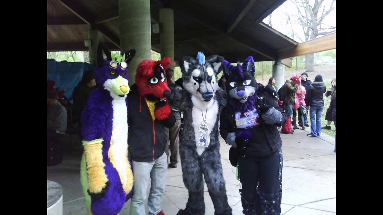 What is the "Furry" Fandom?