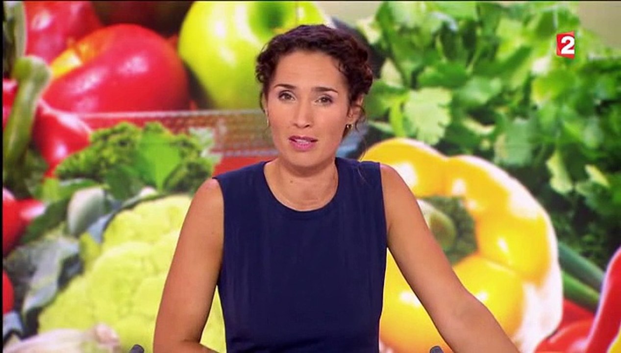 JT 13H France 2 du Mercredi 19 Aout 2015