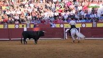 Rejones en el cierre de Ciudad Real