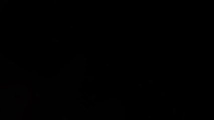 Beat Song | Sofia Kaif ft Kaali | Official Muic Video HD