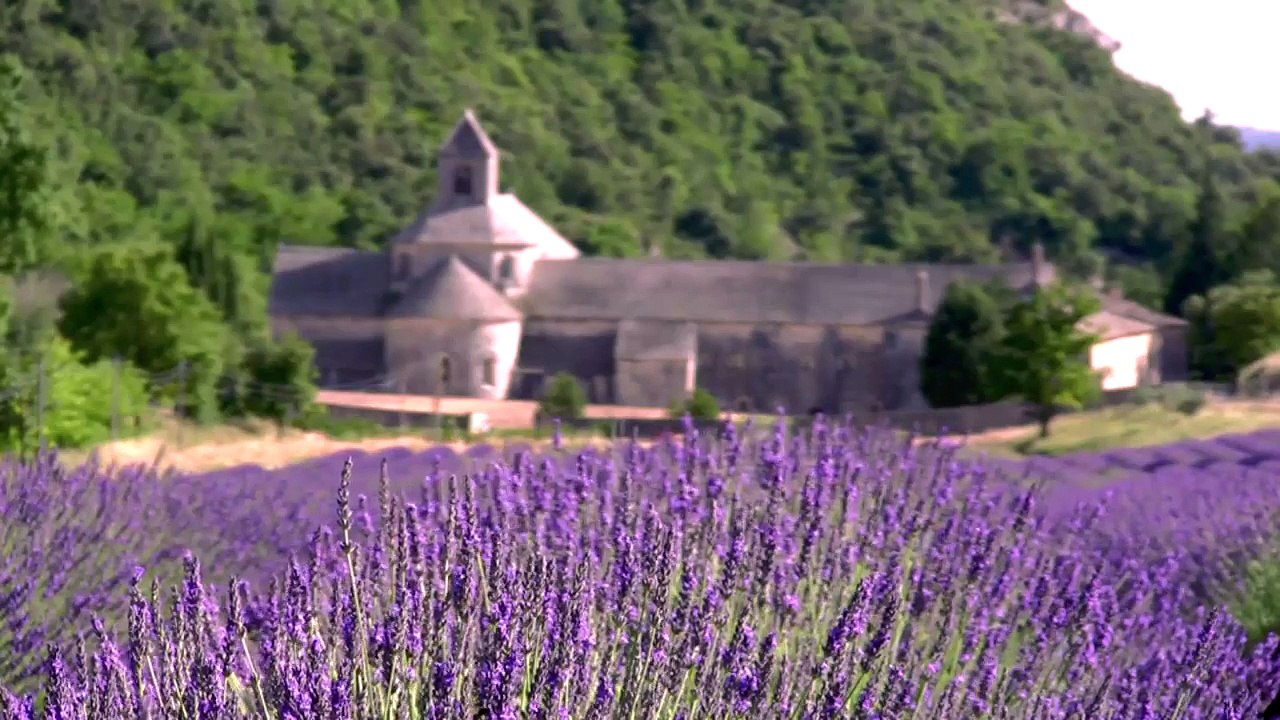 Globus NZ - Wonder And Magic You Wont Ever Stop Talking About