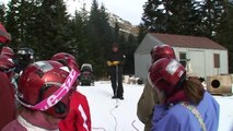 ALASKAN TEAM - chiens de traineau dans les Hautes-Pyrénées