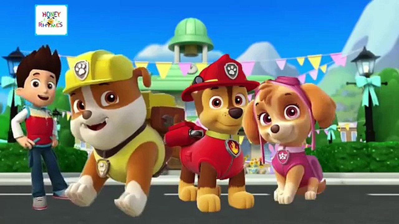 Paw Patrol Cartoon Animation Finger Family Children Nursery Rhymes | Paw Patrol Finger Family Songs