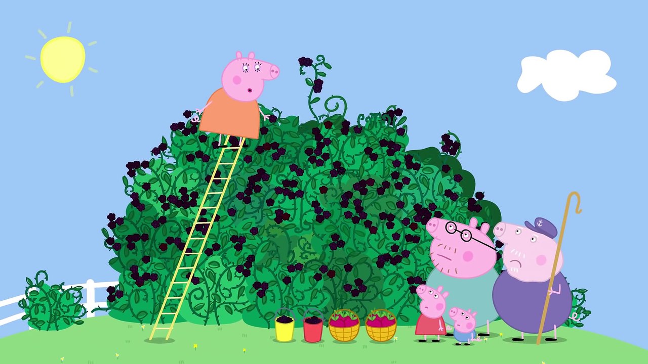 Peppa Pig - The Blackberry Bush (Clip)