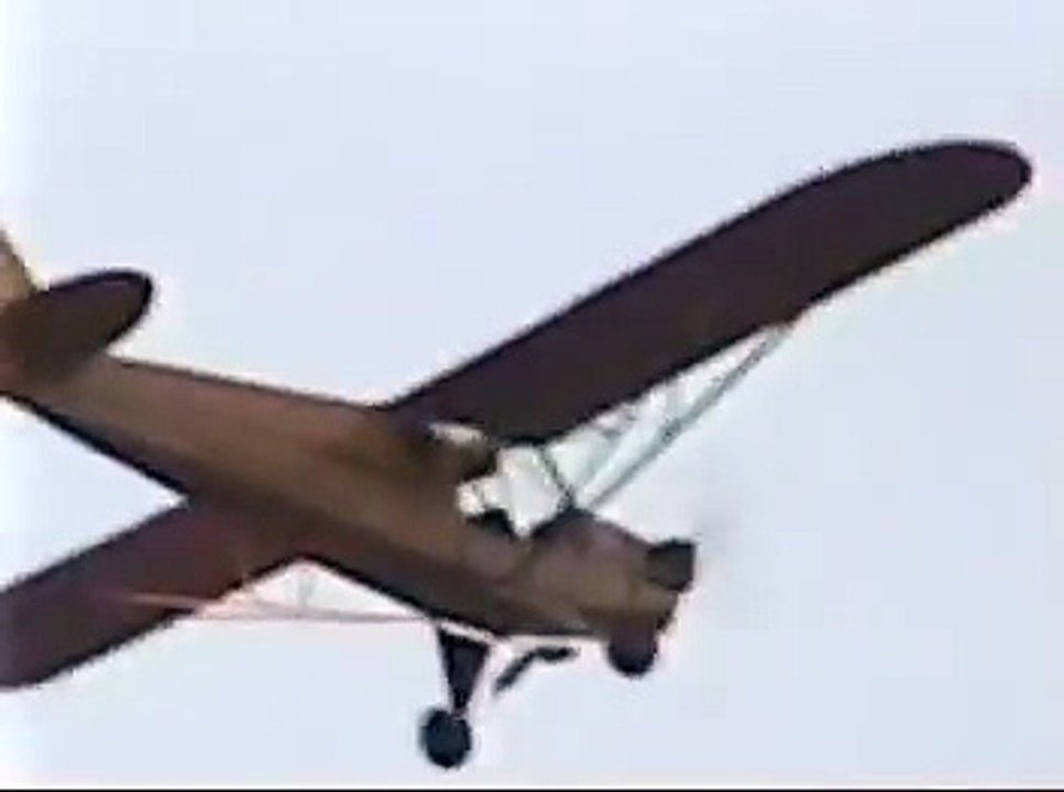 Piper J3 Cub Airplane Fly-by *  Pilot Yells Yee Ha!