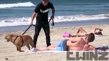 Dog Peeing on Girls at Beach Prank!