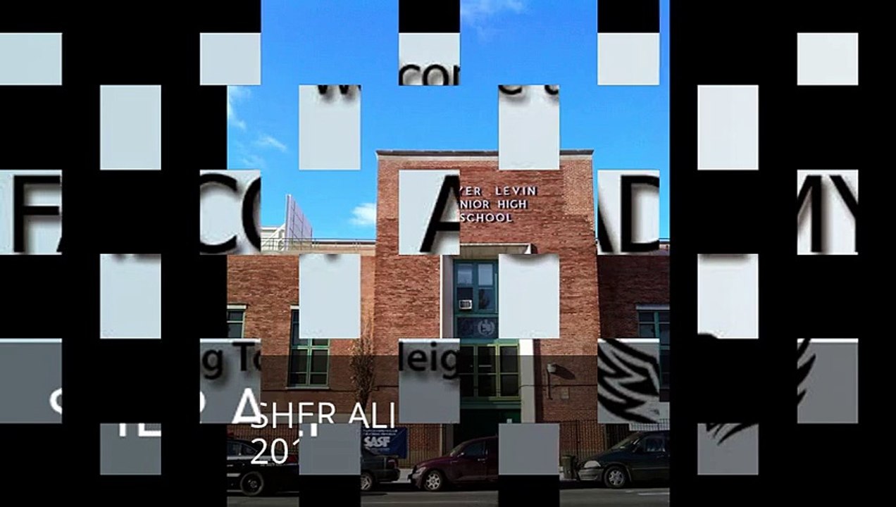 SHER QUAKER PARROT MEYER LEVIN JUNIOR HIGH SCHOOL 285 2011