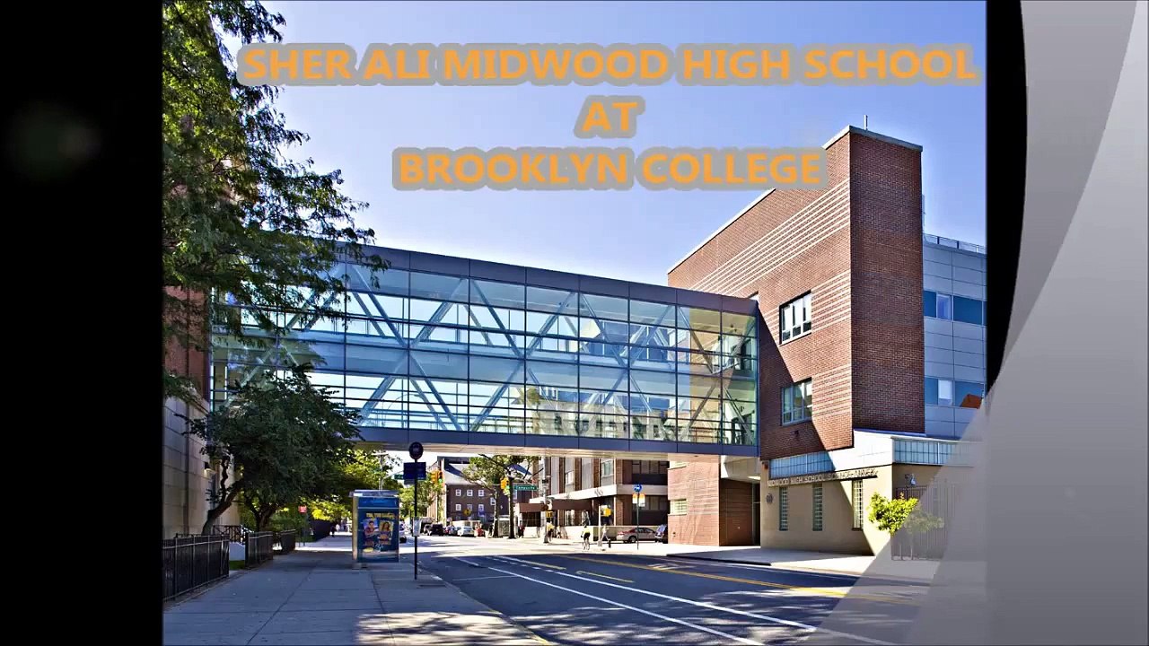 sher quaker parrot sher midwood high school at brooklyn college