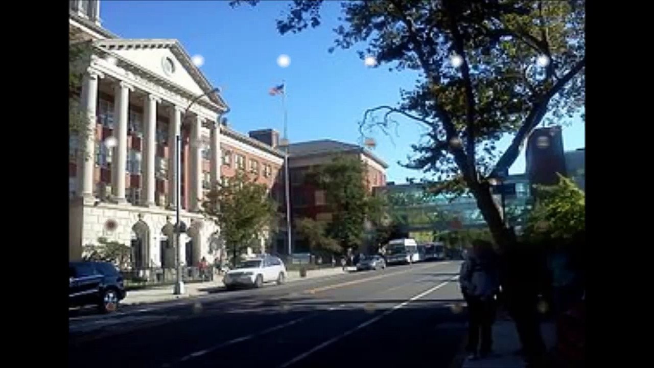 SHER'S QUAKER PARROT SHER ALI MIDWOOD HIGH SCHOOL AT BROOKLYN COLLEGE CUNY