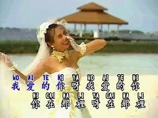 Zhang Xiao Ying - Ai te ni ya he chu sing (karaoke )