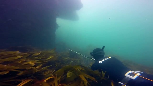 Chasse sous-marine en apnée à Concarneau (Bretagne)