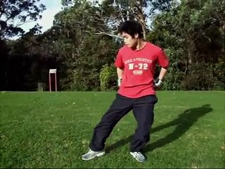 工字伏虎拳 Gung Ji Fuk Fu Kuen - Sam