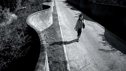 The University of Virginia:  Knowledge Armed with Purpose