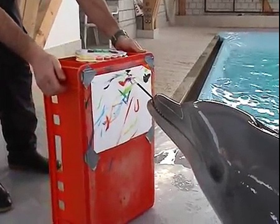 Dolphin painting project