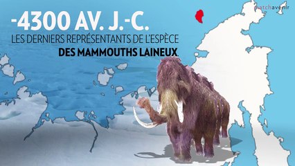 George Church va faire revivre le mammouth