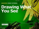 Sessions - Drawing: Drawing What You See