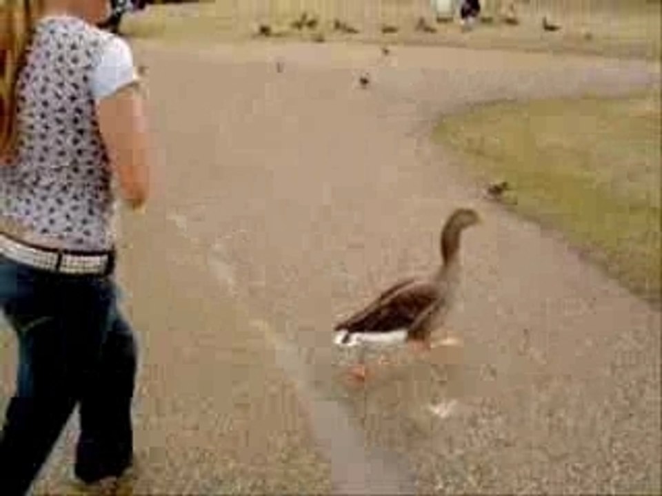 Tropicana for friends 2007