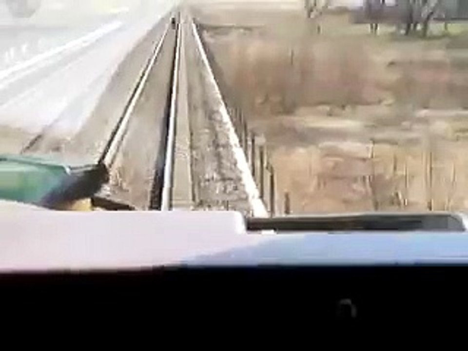 Stupid cow gets hit by train