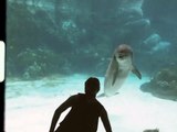 Girl Makes Dolphin Laugh (EXTENDED)