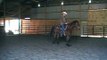 Horse Training - Spin Critique pt.3