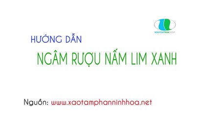 Cách ngâm rượu nấm lim xanh tăng cường sức khỏe