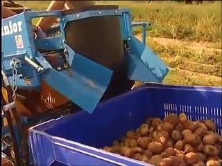 Cosechadora de papas Spedo modelo Junior
