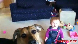 Babies Laughing at Dogs Funny Videos